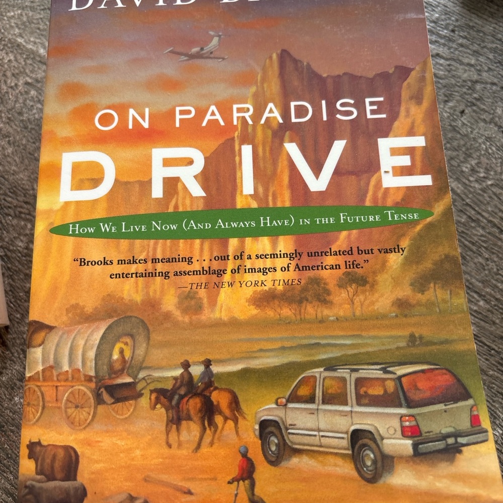 David Brooks 'On Paradise Drive' - Orange and Green Cover